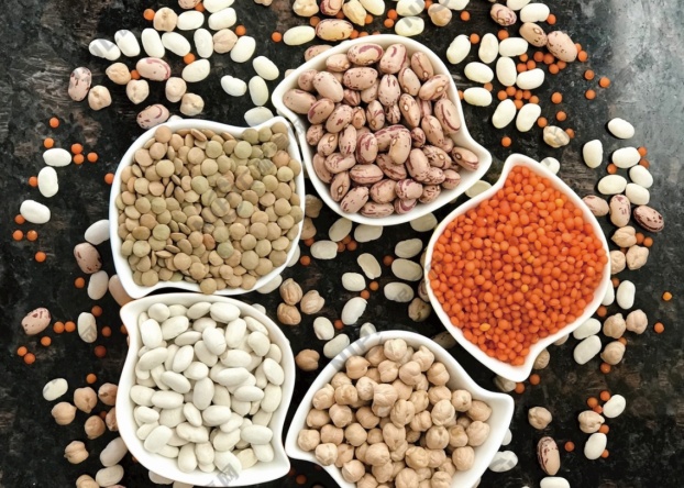 粮食分选